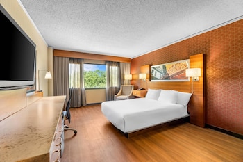 Room, 1 King Bed, Accessible, Non Smoking