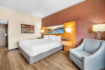 Room, 1 King Bed, Non Smoking