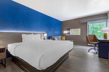 Room, 1 King Bed, Non Smoking