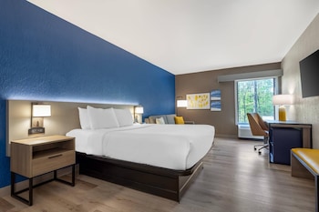 Room, 1 Queen Bed, Non Smoking