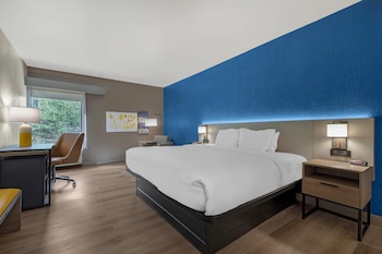 Standard Room, 1 King Bed, Non Smoking