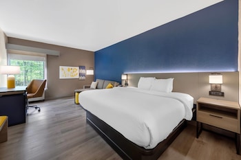 Room, 1 King Bed with Sofa bed, Non Smoking (Upgrade)