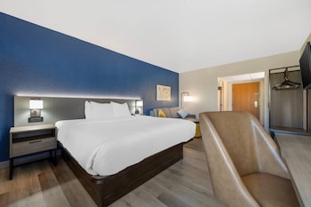 Standard Room, 1 King Bed with Sofa bed, Non Smoking
