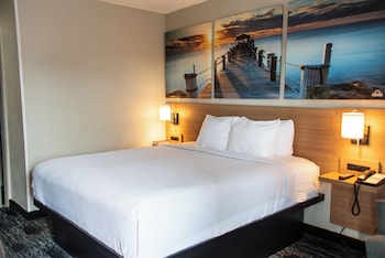 Room, 1 King Bed (Exterior Room)