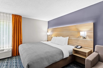 Standard Room, 1 King Bed, Non Smoking