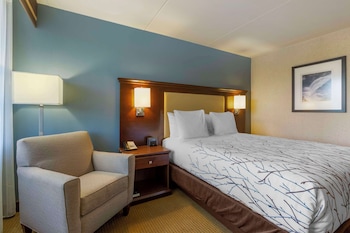 Standard Room, 1 Queen Bed, Accessible, Bathtub