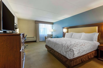 Standard Room, 1 King Bed, Refrigerator & Microwave, Courtyard View