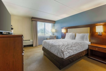 Standard Room, 1 Queen Bed, Non Smoking, Refrigerator & Microwave