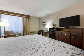 Standard Room, 1 King Bed, Refrigerator & Microwave, Courtyard View