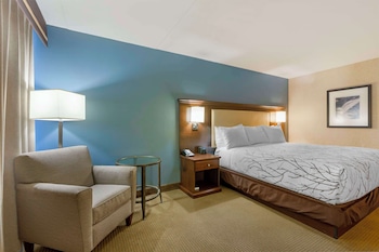 Standard Room, 1 King Bed, Refrigerator & Microwave, Courtyard View