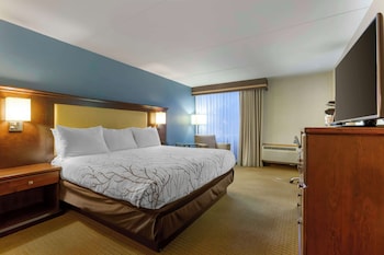 Standard Room, 1 King Bed, Non Smoking, Refrigerator & Microwave