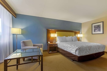 Suite, 1 King Bed, Refrigerator & Microwave, Courtyard View (with Sofabed)