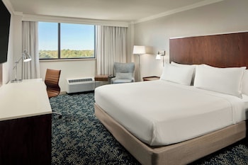 Room, 1 King Bed, Lake View
