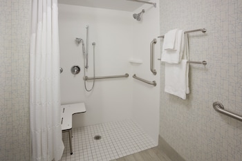 Standard Room, 1 King Bed, Accessible (Mobility, Roll-In Shower)