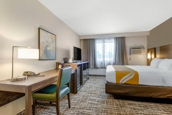 Standard Room, 1 King Bed, Non Smoking