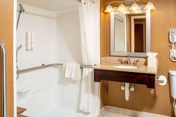 Room, 1 King Bed, Accessible, Non Smoking (Roll-In Shower)