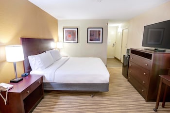 Standard Room, 1 King Bed, Accessible (Transfer Shower)