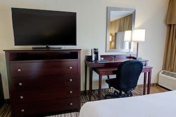 Standard Room, 1 King Bed, Accessible (Accessible Tub)