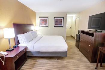 Standard Room, 1 King Bed, Accessible (Transfer Shower)