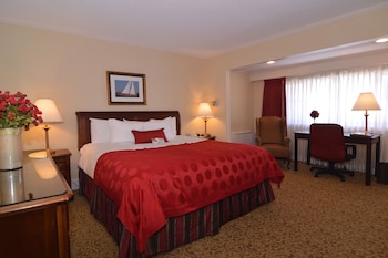 Room, 1 King Bed, Accessible, Non Smoking