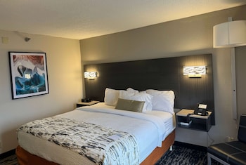 Room, 1 King Bed, Accessible, Non Smoking (Mobility Bathtub w/Grab Bars)