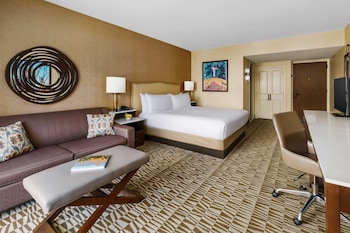Room, 1 King Bed with Sofa bed