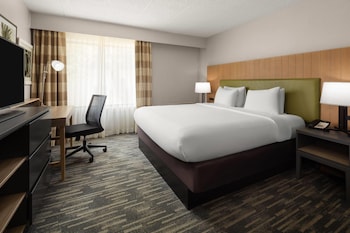 Room, 1 King Bed, Mobility Accessible, Non Smoking (Roll-in Shower)