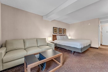 Standard Room, 1 King Bed with Sofa bed