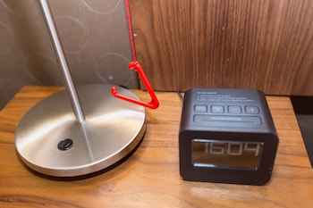 Double Hilton Accessible Room