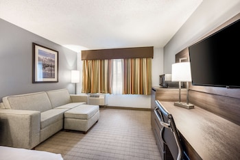 Standard Room, 1 King Bed, Non Smoking, Refrigerator & Microwave (with Sofabed)