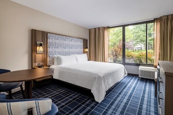 Room, 1 King Bed, Roll-in Shower