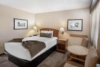 Standard Room, 1 Queen Bed, Non Smoking, Refrigerator & Microwave