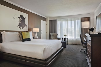 1 King Bed, Accessible (Roll-in Shower)