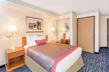 Room, 1 Double Bed, Non Smoking