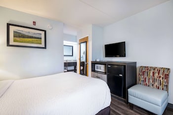 Standard Room, 1 Double Bed, Non Smoking