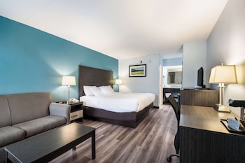 Standard Room, 1 King Bed with Sofa bed, Non Smoking