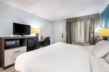 Room, 1 King Bed, Accessible, Non Smoking