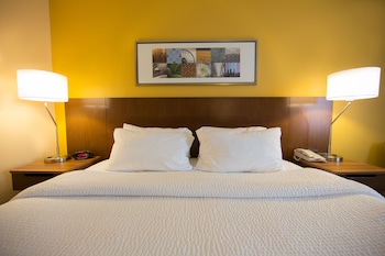 Room, 1 King Bed