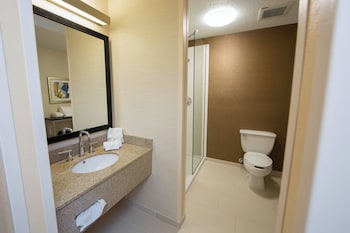 Studio, 1 King Bed with Sofa bed