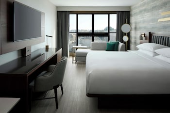 Room, 1 King Bed