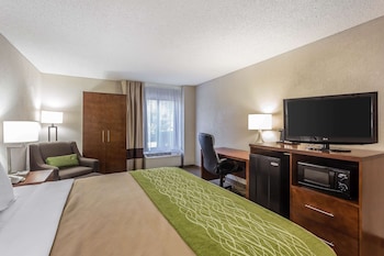 Standard Room, 1 King Bed, Non Smoking