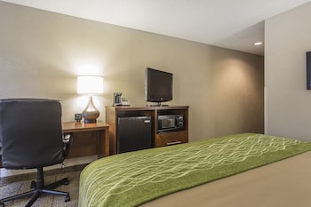 Standard Room, 1 King Bed, Non Smoking