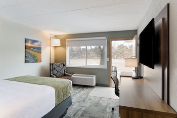 Room, 1 Queen Bed (Down/Out)