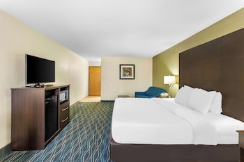 Standard Room, 1 King Bed, Non Smoking, Refrigerator & Microwave (Larger Room)