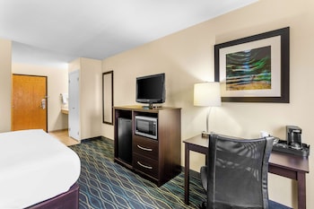 Standard Room, 1 King Bed, Accessible, Non Smoking