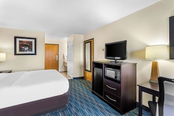 Standard Room, 1 King Bed, Non Smoking, Refrigerator & Microwave (with Sofabed)