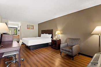 Room, 1 King Bed, Accessible, Smoking