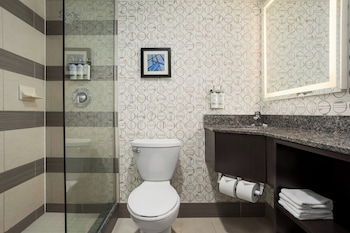 Suite, 1 King Bed, City View