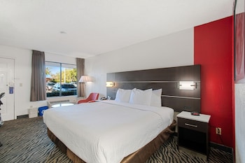 Room, 1 King Bed, Non Smoking