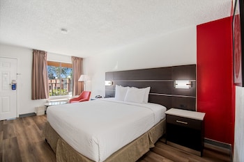 Room, 1 King Bed, Non Smoking
